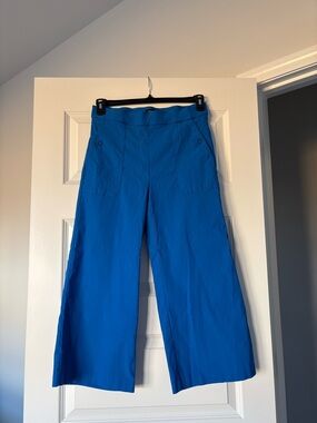 Counterparts Wide-Leg Cropped Pants in Cobalt Blue Women’s Size Medium